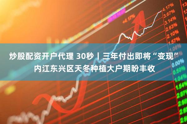 炒股配资开户代理 30秒丨三年付出即将“变现” 内江东兴区天冬种植大户期盼丰收